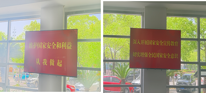 女王调教