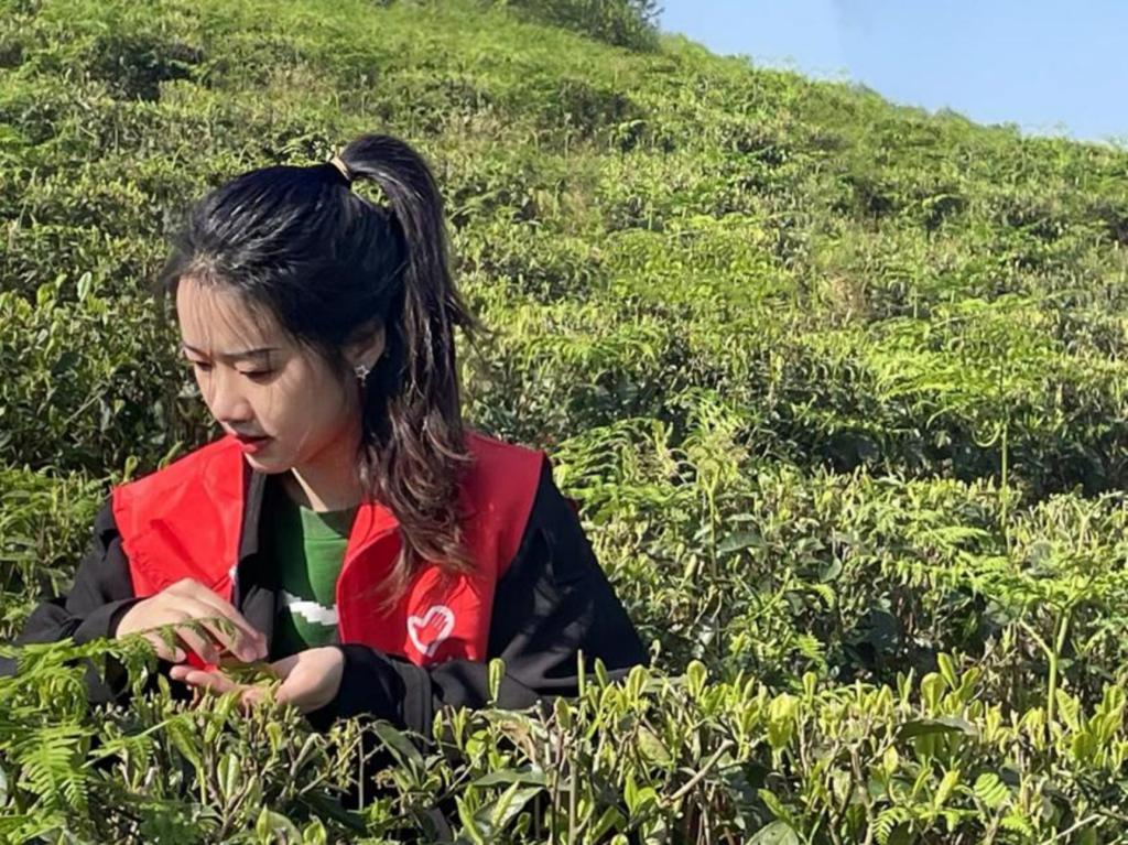 女王调教